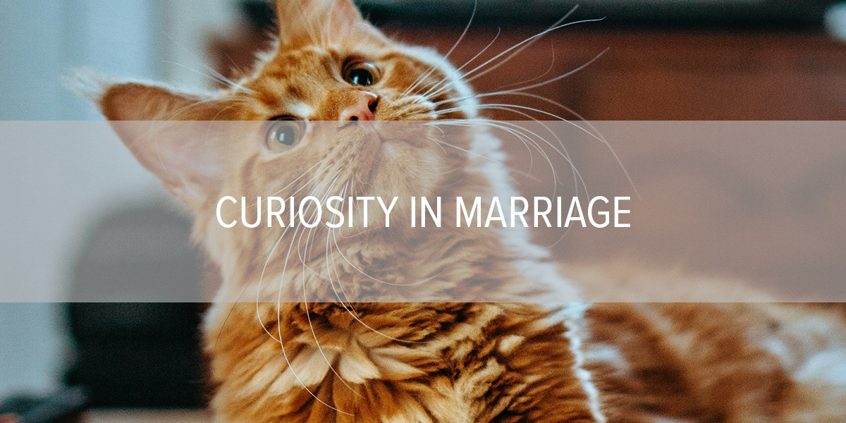 Curiosity in Marriage