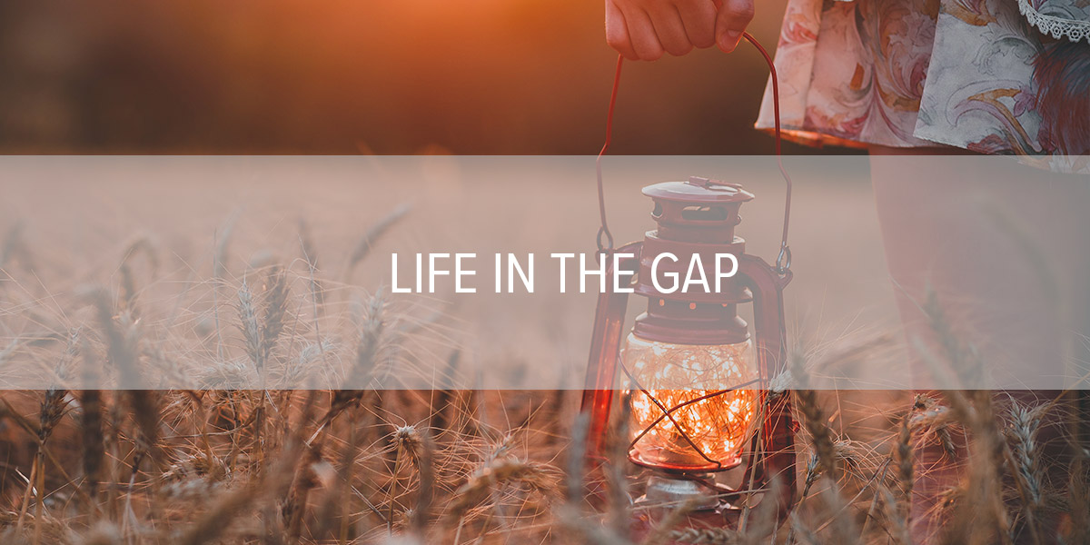 Life In The Gap