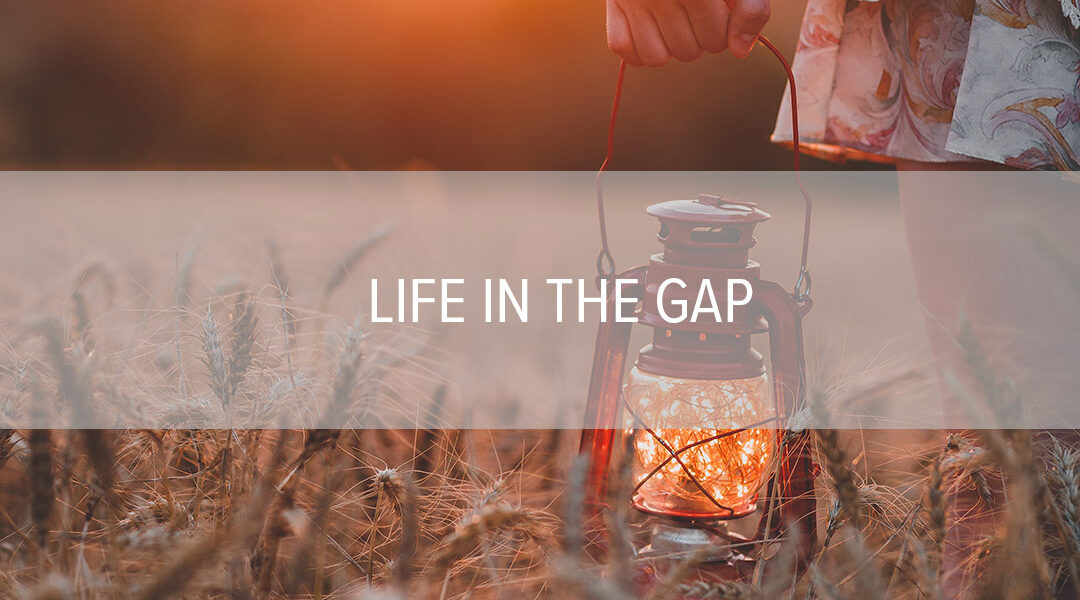 Life in the Gap