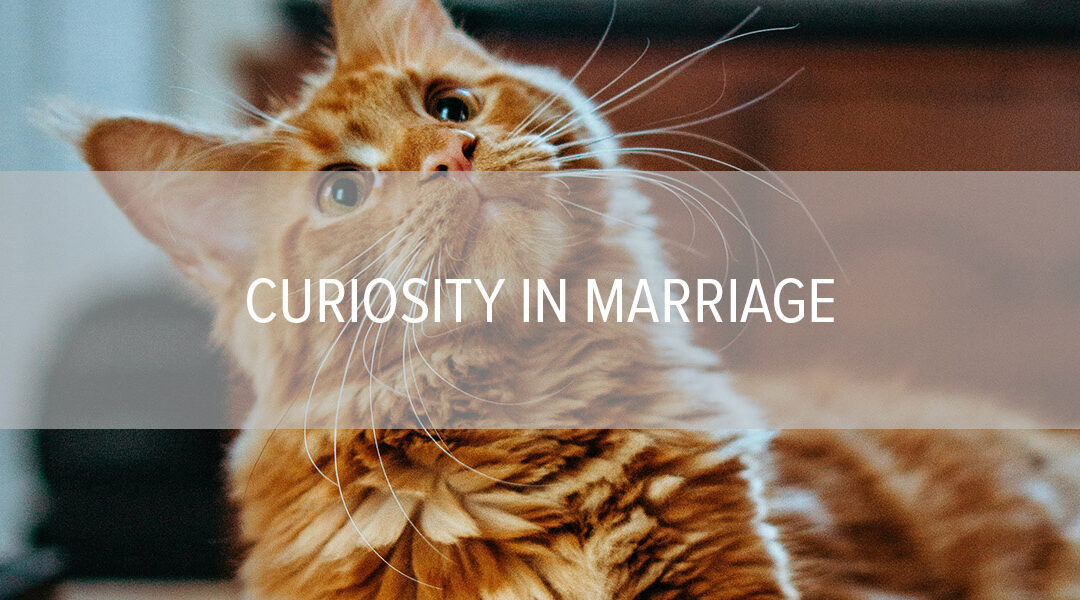 Curiosity in Marriage