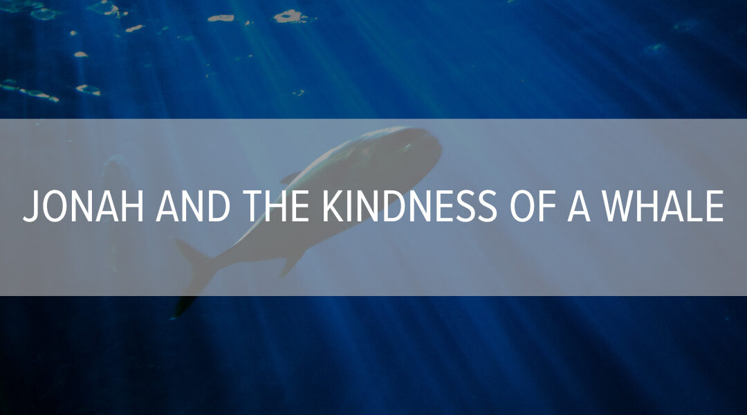 Jonah and the Kindness of a Whale