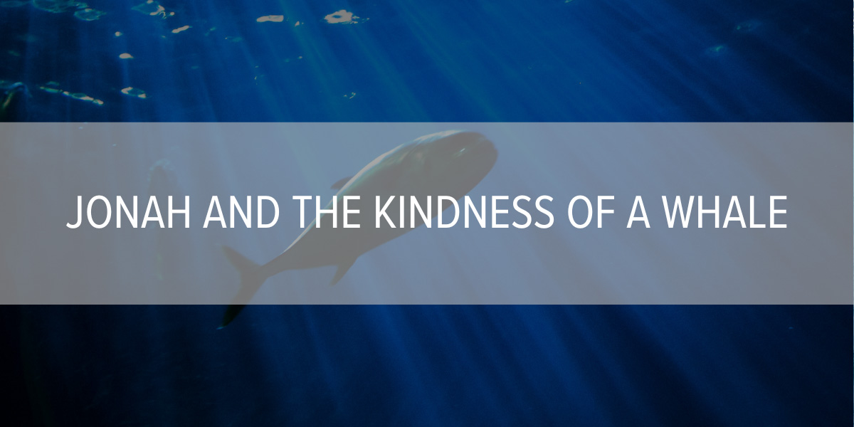 Jonah and the Kindness of a Whale