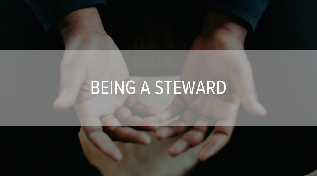Being a Steward