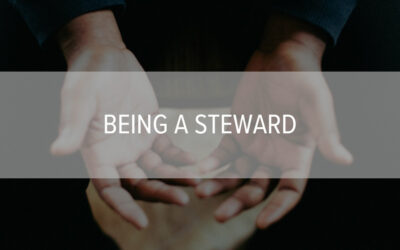 Being a Steward