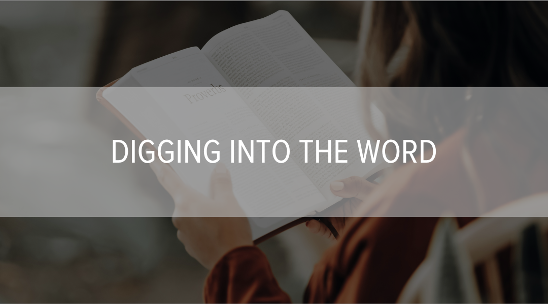 Digging into the Word