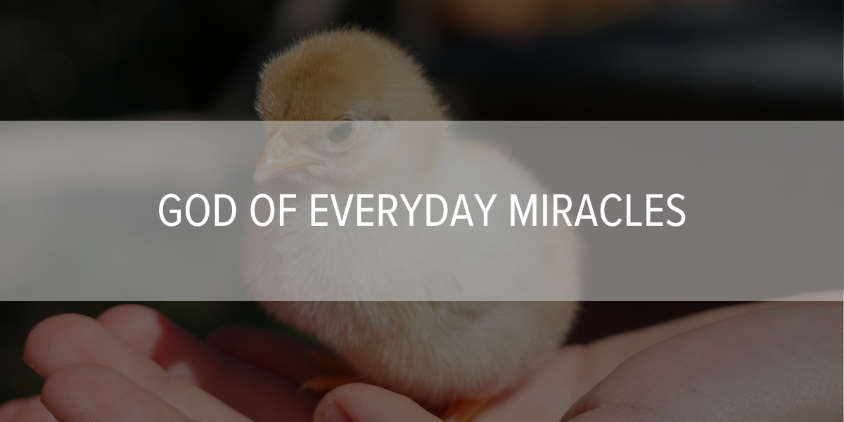 God of Everyday Miracles